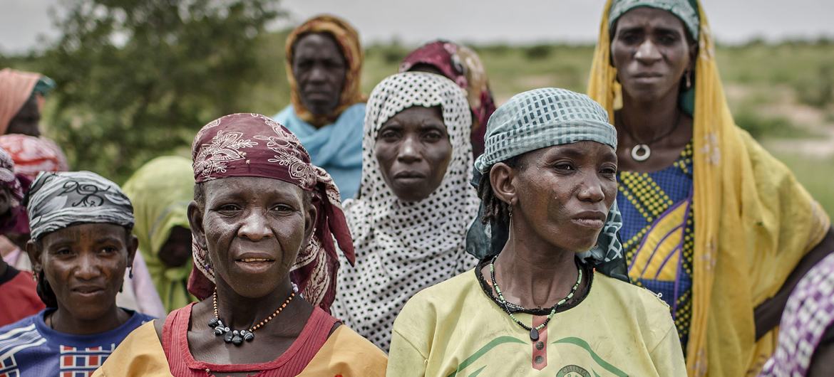 In Niger, as in many other parts of the Sahel, climate shocks have resulted in recurring droughts with devastating impacts on the region's already vulnerable populations. In Niger, as in many other parts of the Sahel, climate shocks have resulted in recurring droughts with devastating impacts on the region's already vulnerable populations.