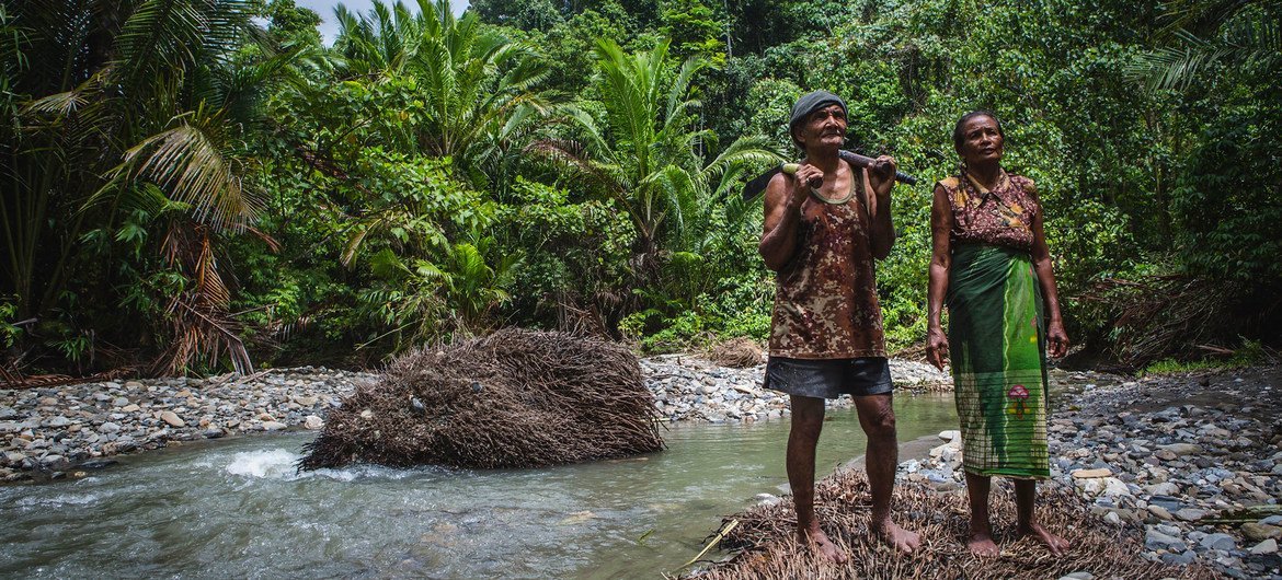 In Indonesia many people rely on forest biodiversity for their livelihoods. In Indonesia many people rely on forest biodiversity for their livelihoods.