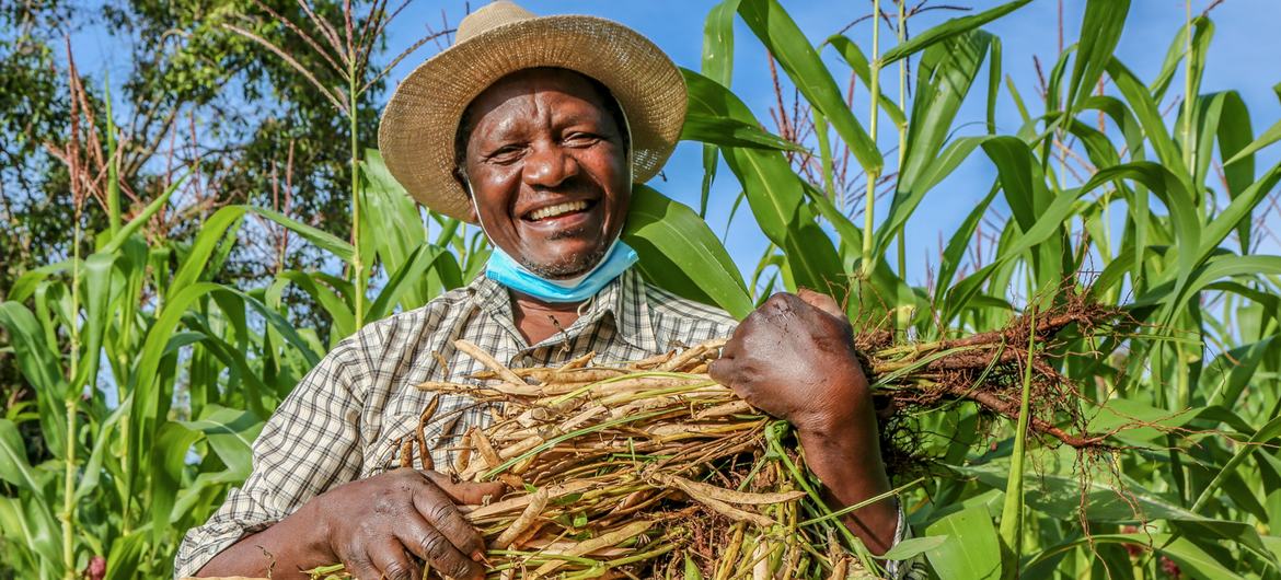 Reginald Omulo is a farmer who switched from farming tobacco to beans, in Kenya. Reginald Omulo is a farmer who switched from farming tobacco to beans, in Kenya.