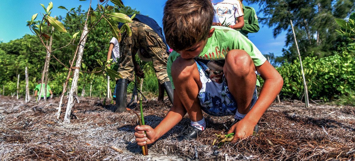 Restoring natural habitats as pictured here in Cuba will help to slow down climate change Restoring natural habitats as pictured here in Cuba will help to slow down climate change