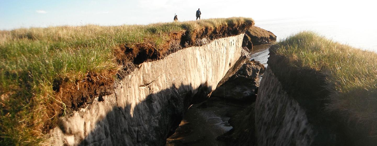 Coastal erosion reveals the extent of ice-rich permafrost underlying active layer on the Arctic Coastal Plain in the Teshekpuk Lake Special Area of the National Petroleum Reserve in Alaska. Coastal erosion reveals the extent of ice-rich permafrost underlying active layer on the Arctic Coastal Plain in the Teshekpuk Lake Special Area of the National Petroleum Reserve in Alaska.