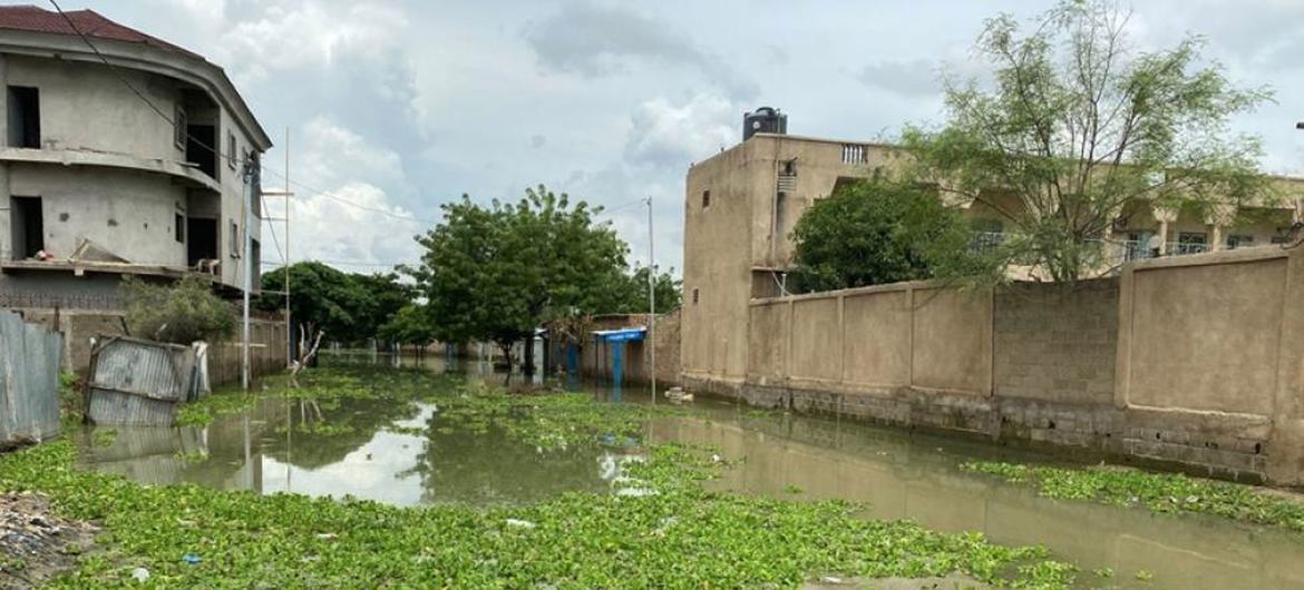 Çad genelinde şiddetli yağışlar başkent N'Djamena'yı sular altında bıraktı.