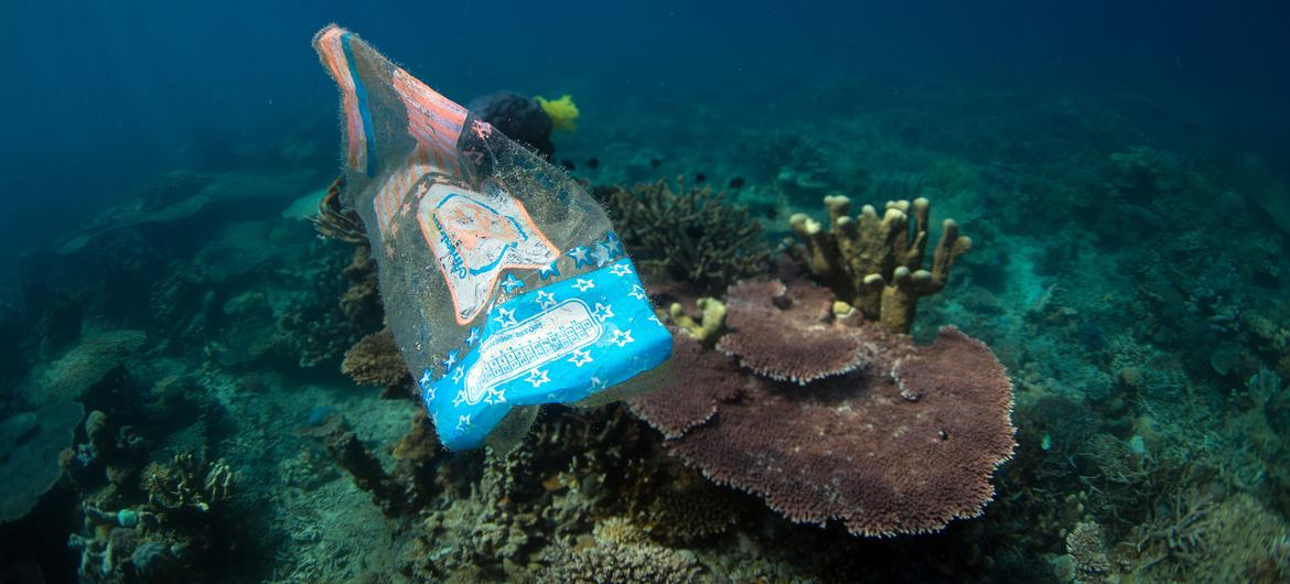 Denizlerdeki plastik döküntüler 600'den fazla deniz türünü etkiledi.