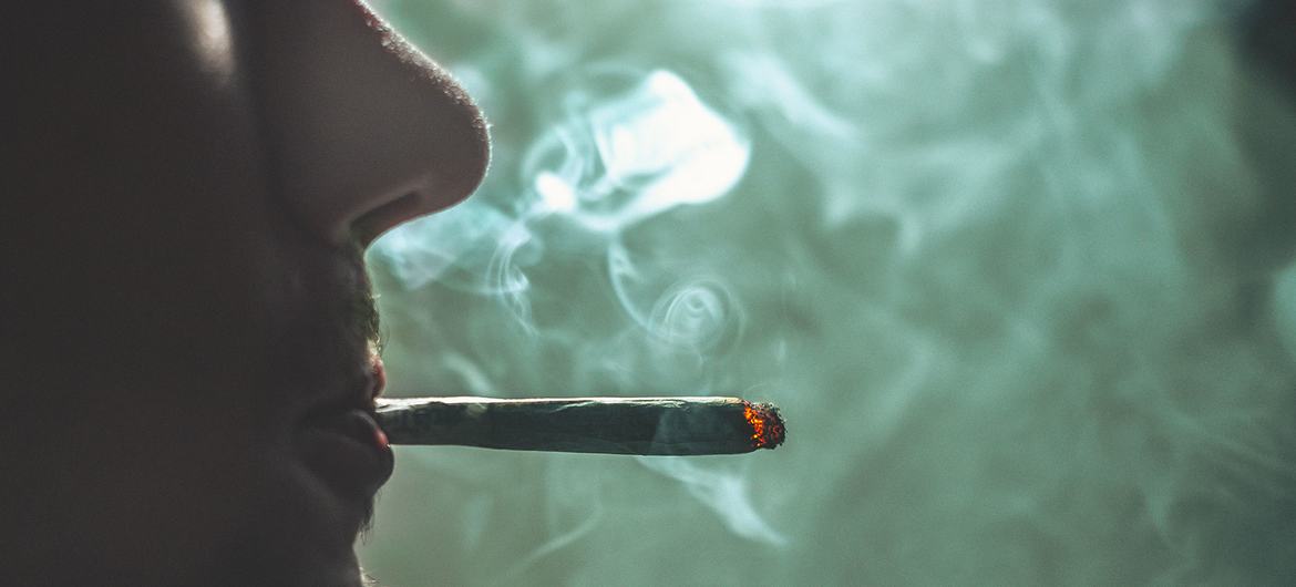 Cannabis legalization in parts of the world appears to have accelerated daily use and related health impacts, according to the UN Office on Drugs and Crime (UNODC)’s World Drug Report 2022. Cannabis legalization in parts of the world appears to have accelerated daily use and related health impacts, according to the UN Office on Drugs and Crime (UNODC)’s World Drug Report 2022.