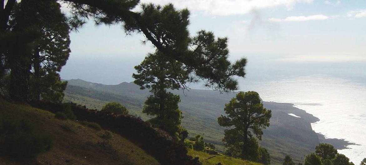 El Hierro, a volcanic island in Spain, has an incredibly diverse landscape and a great variety of plant and animal life. El Hierro, a volcanic island in Spain, has an incredibly diverse landscape and a great variety of plant and animal life.