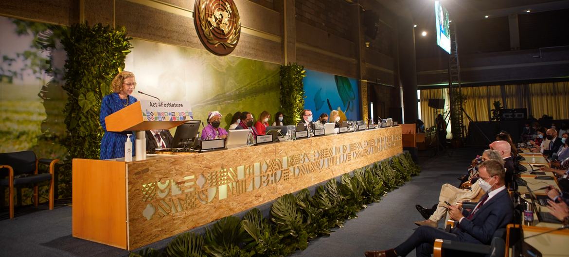 Inger Andersen, Executive Director of the UN Environment Programme, addresses participants at the fifth session of the United Nations Environment Assembly. Inger Andersen, Executive Director of the UN Environment Programme, addresses participants at the fifth session of the United Nations Environment Assembly.