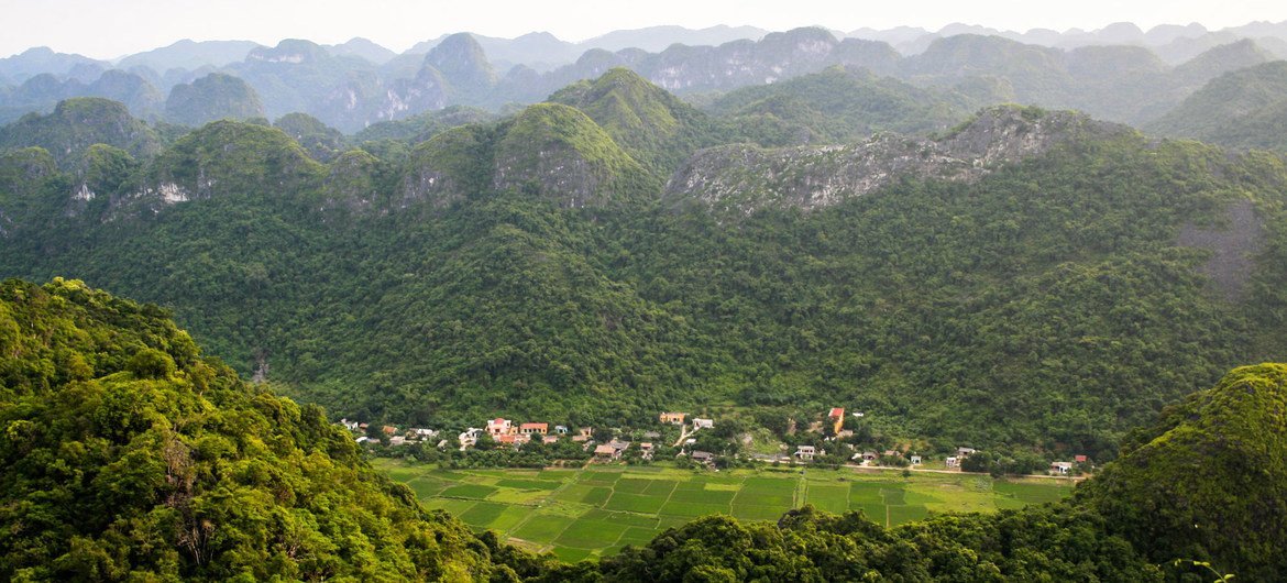 Restoring natural habitats can help to address climate and biodiversity crises. Restoring natural habitats can help to address climate and biodiversity crises.