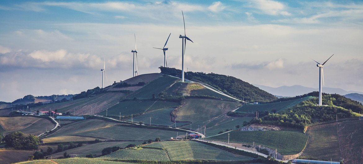 Wind farms generate electricity and reduce reliance on coal-powered energy. Wind farms generate electricity and reduce reliance on coal-powered energy.