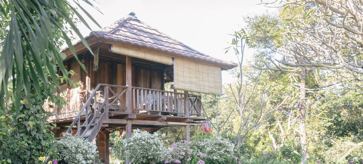 Sudaji Köyü, Buleleng, Bali, Endonezya'daki Esa di Kubu Homestay'de bir bungalov.
