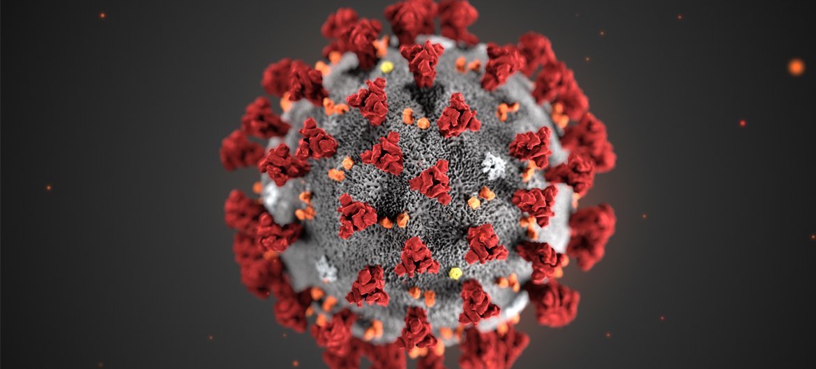A digital illustration of the coronavirus shows the crown-like appearance of the virus. A digital illustration of the coronavirus shows the crown-like appearance of the virus.