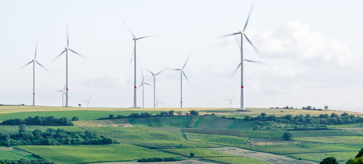 A wind turbine farm in Mölsheim, Germany. A wind turbine farm in Mölsheim, Germany.