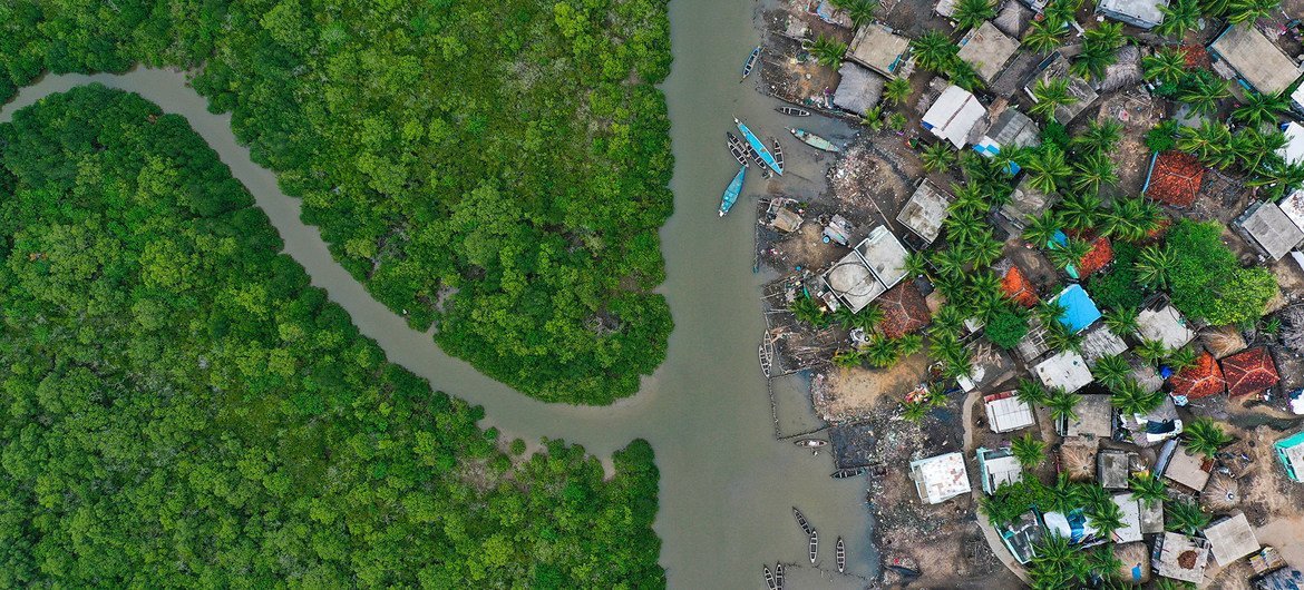 Urban expansion is contributing to significant mangrove loss in Indonesia.