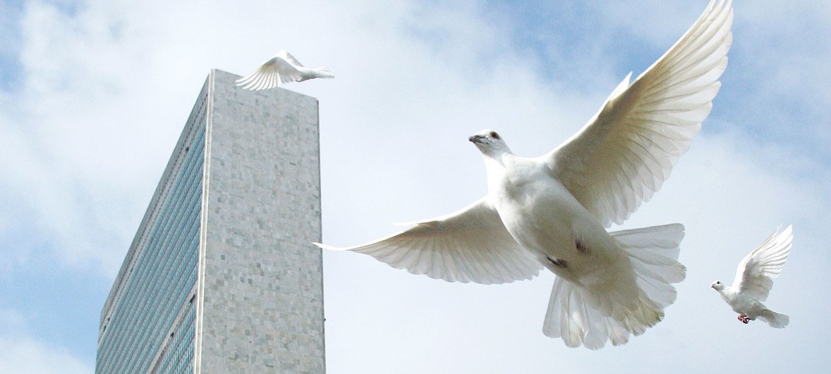 Doves released at the UN Headquarters, in New York. (File photo)