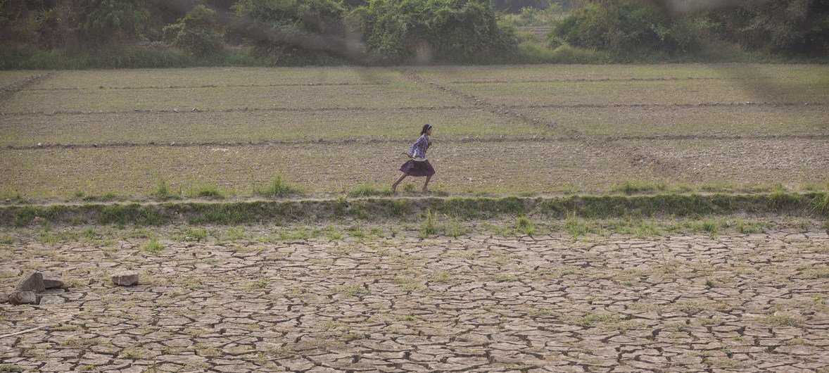 A girl runs through deserted farmland in Mynmar's Sagaing region.