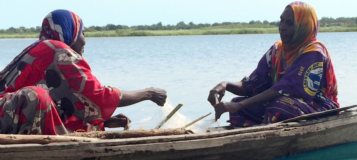 Fisherwomen like Falmata Mboh Ali (right) hard at work on Lake Chad, which has shrunk to a tenth of its original size over the past decades leaving dwindling stocks of fish (file photo). Fisherwomen like Falmata Mboh Ali (right) hard at work on Lake Chad, which has shrunk to a tenth of its original size over the past decades leaving dwindling stocks of fish (file photo).