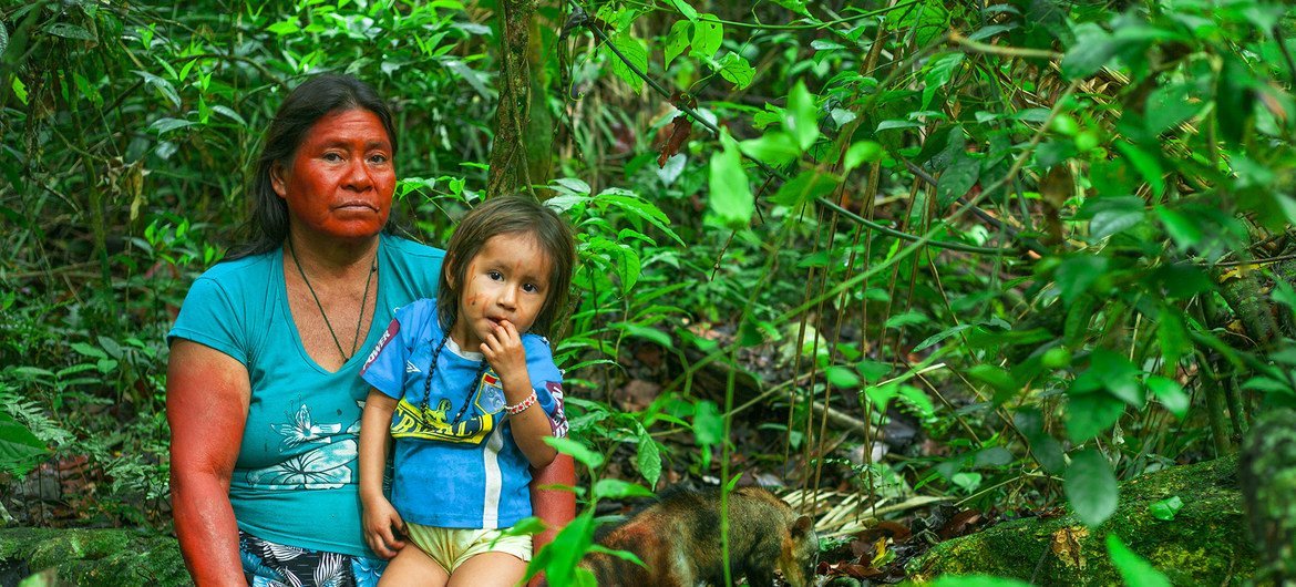 Amarakaeri Communal Reserve (RCA) is a natural protected area of 402,335.96 hectares managed by 10 harakbuts, yines and machiguengas communities in Madre de Dios, in the Peruvian Amazon. 