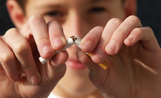 According to WHO, tobacco kills up to half of its users, claiming more than 8 million lives each year. According to WHO, tobacco kills up to half of its users, claiming more than 8 million lives each year.